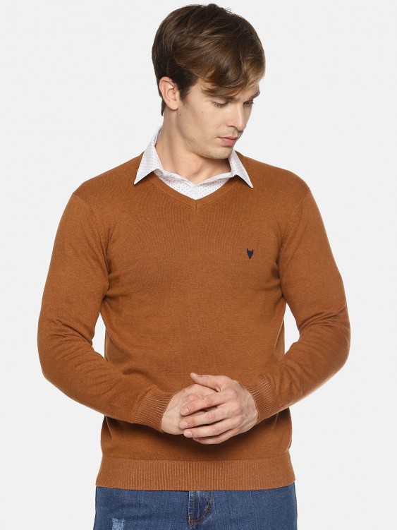 Brown Solid V-Neck Sweater
