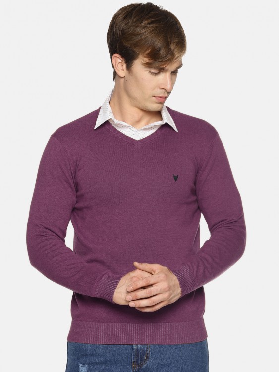 Purple Solid V-Neck Sweater