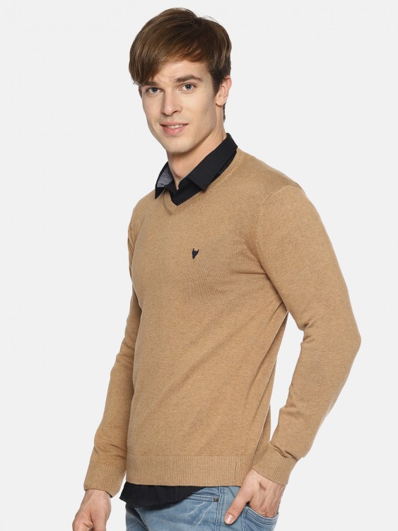 Khaki Solid V-Neck Sweater