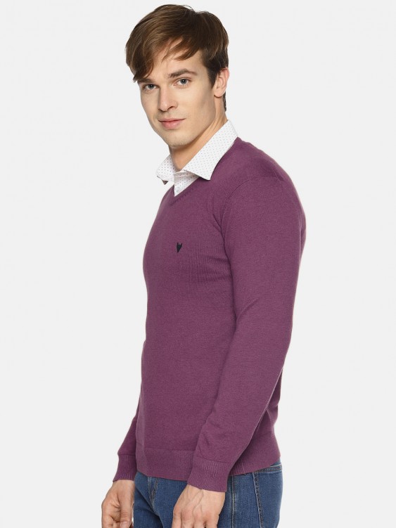 Purple Solid V-Neck Sweater